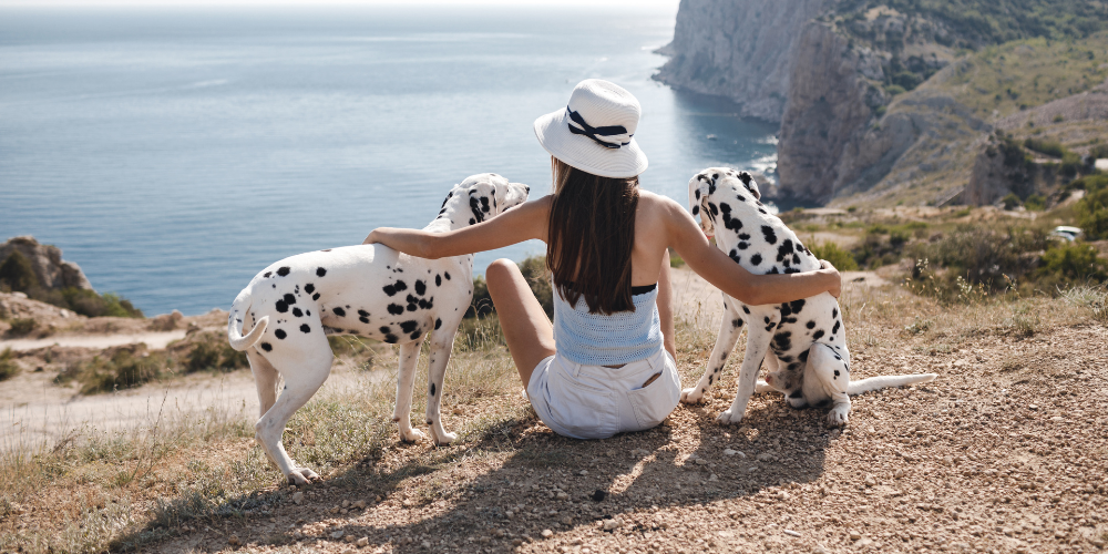 How to Plan a Safe and Fun Vacation With Your Pet
