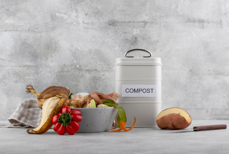 Vacation kitchen scraps and compost bin