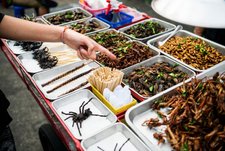 Street food stall selling insects and spiders